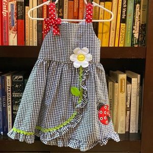 Girls Gingham Picnic Dress with Embroidered Details